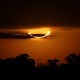 Imagen para el artículo titulado 8 fotos espectaculares del eclipse solar total de 2019